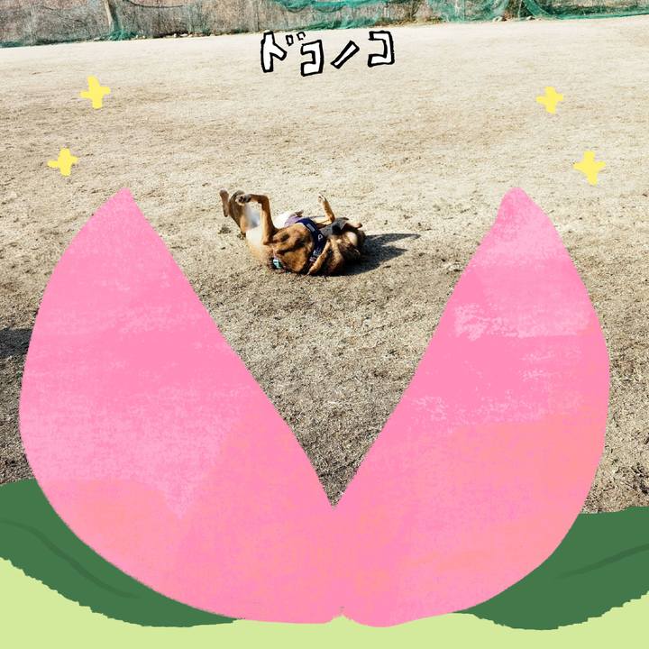 5ae29a75 d206 4f7d 8431 86e933b4ce1c 1772265806075