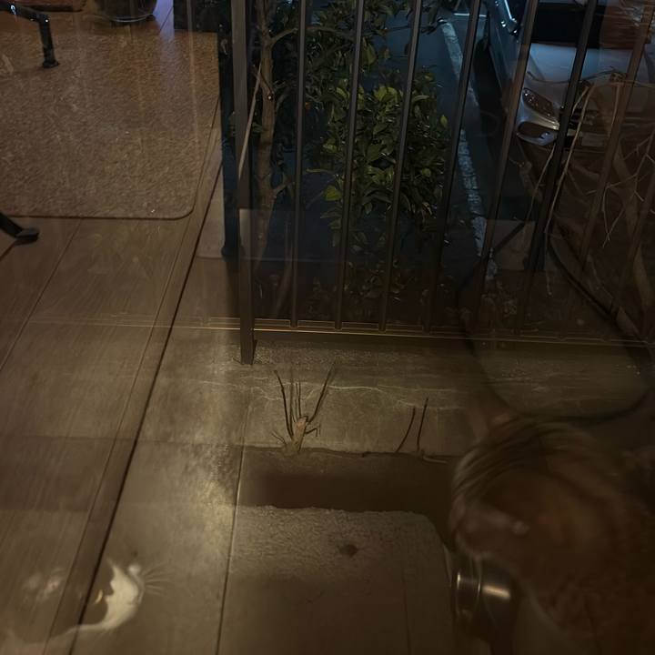 5ae2a5d9 2c1f 4978 812e 391f5c2a9457 1771328112690