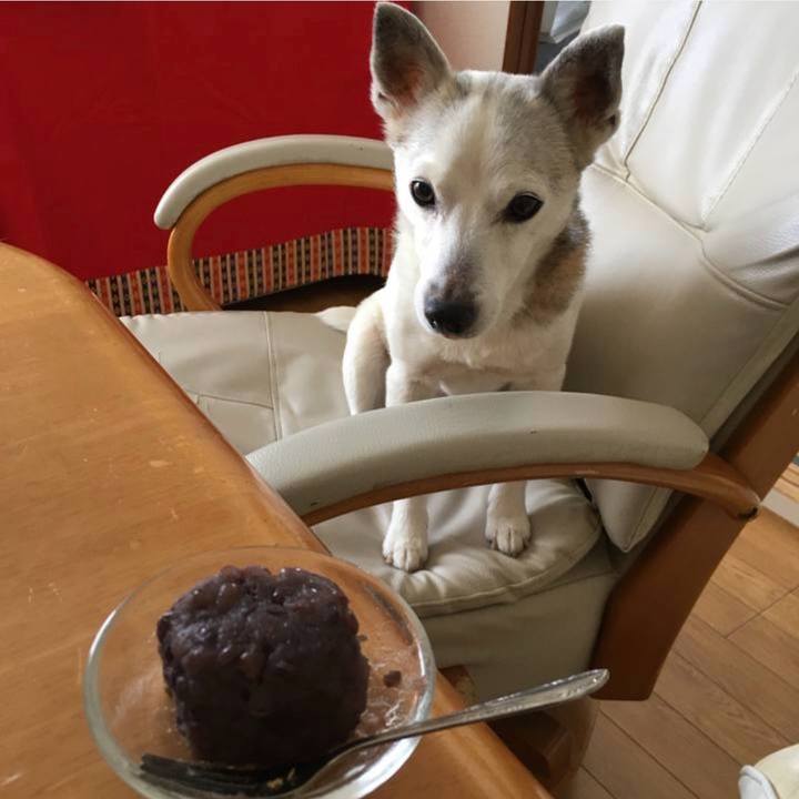 5ae2a86f be49 4360 b2e9 3896d5b30b1a 1773870888878