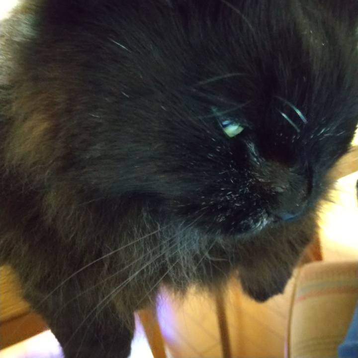 5ae2bfc2 3f32 4b41 b182 c8f30427fcde 1685358555118