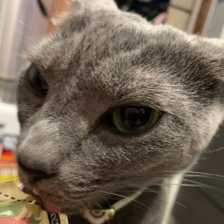 5ae2ca45 9345 4ad9 b8a6 1d8e478523a2 1647076856865