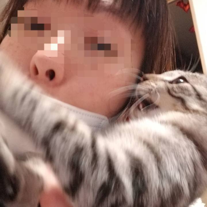 5ae3066c b0b4 4735 884a cccb6c82828b 1668784862169