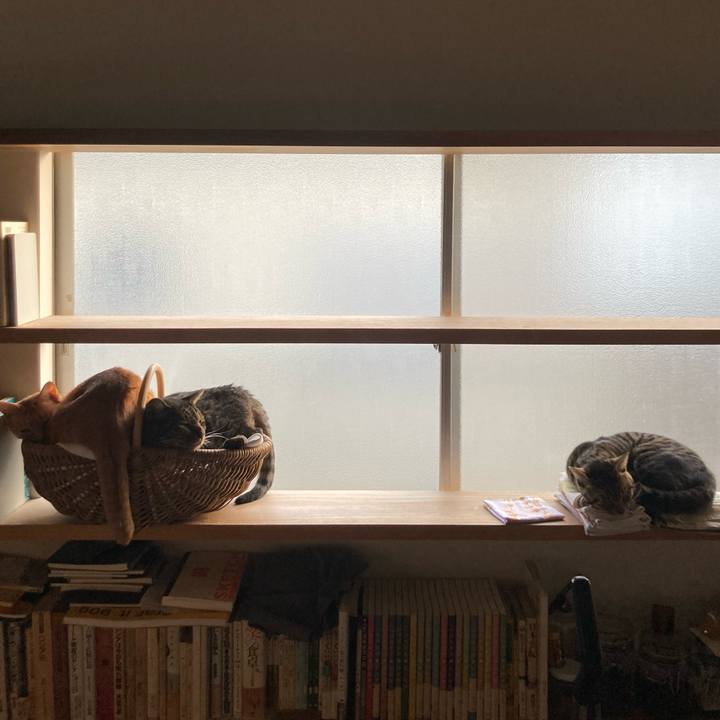 5ae33a77 d970 4165 b6ce a16d0aa0c911 1672324126143