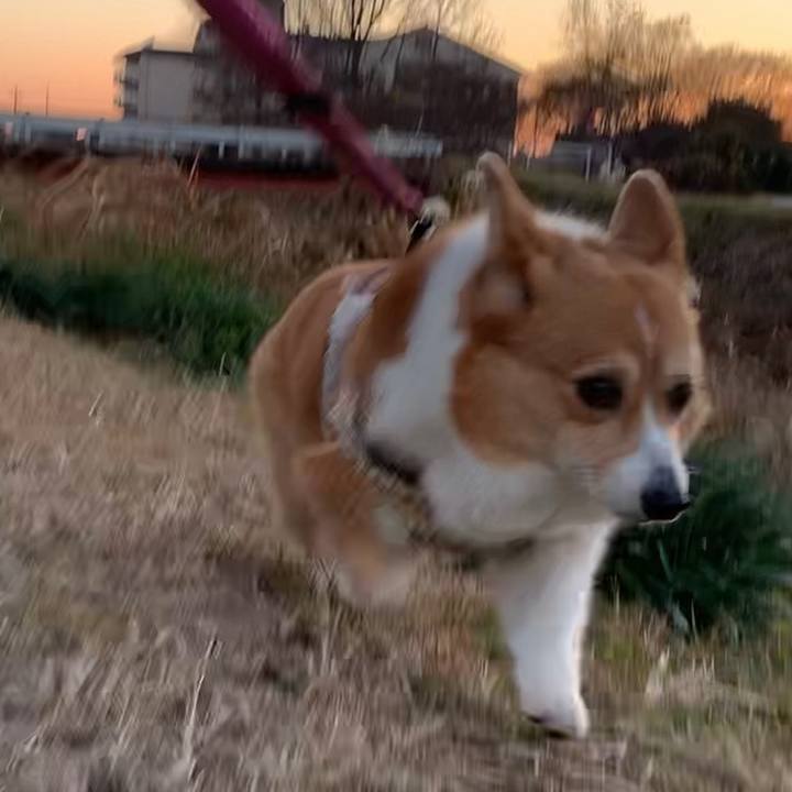 5ae36a7c 83fb 4d5a 9a91 720d4a532700 1670919388875