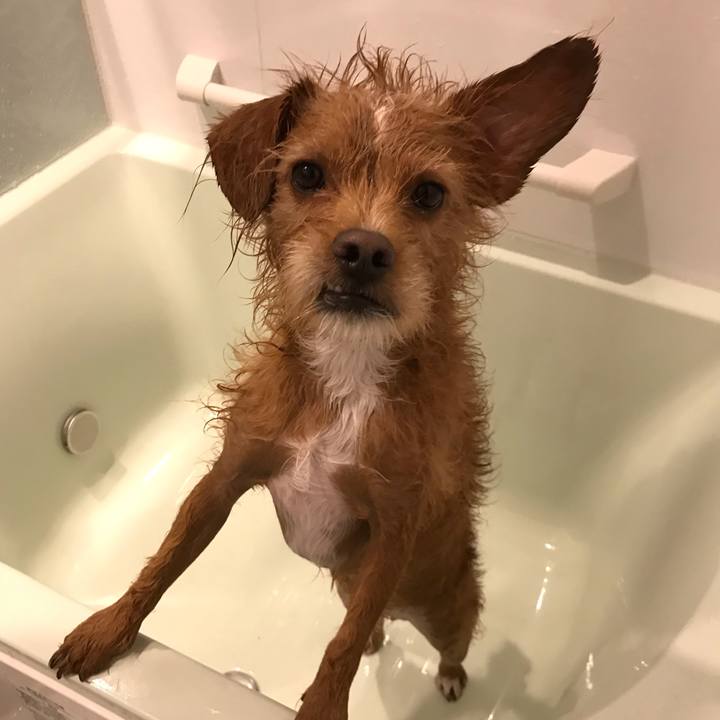 5ae39c58 4107 43cd a39e e3d2856f5259 1579650083814