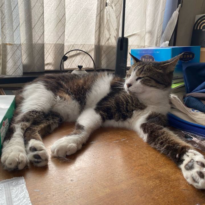 5ae3e930 8fbf 4612 b413 80435065edad 1691626097442