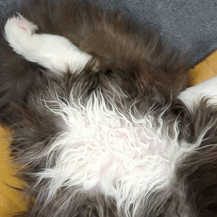 5ae3ecd6 f80f 495b 935a f7457dc8ac94 1712197815313