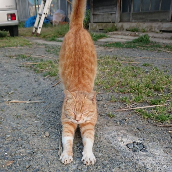 5ae4009c 2934 4400 b432 8c48849f9726 1558644088551