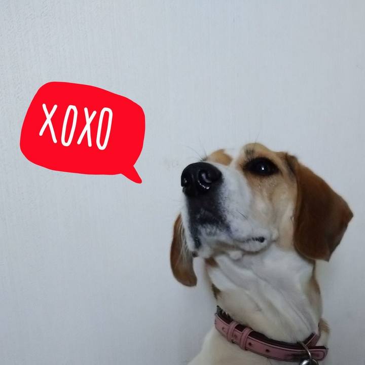 5ae43d69 e634 45b3 8dd2 2e96615f1356 1601629872848