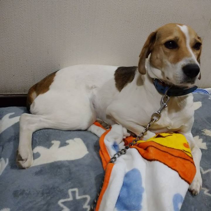 5ae44b26 c3f9 4ae9 aced f2f0d2a6bef6 1607004899785