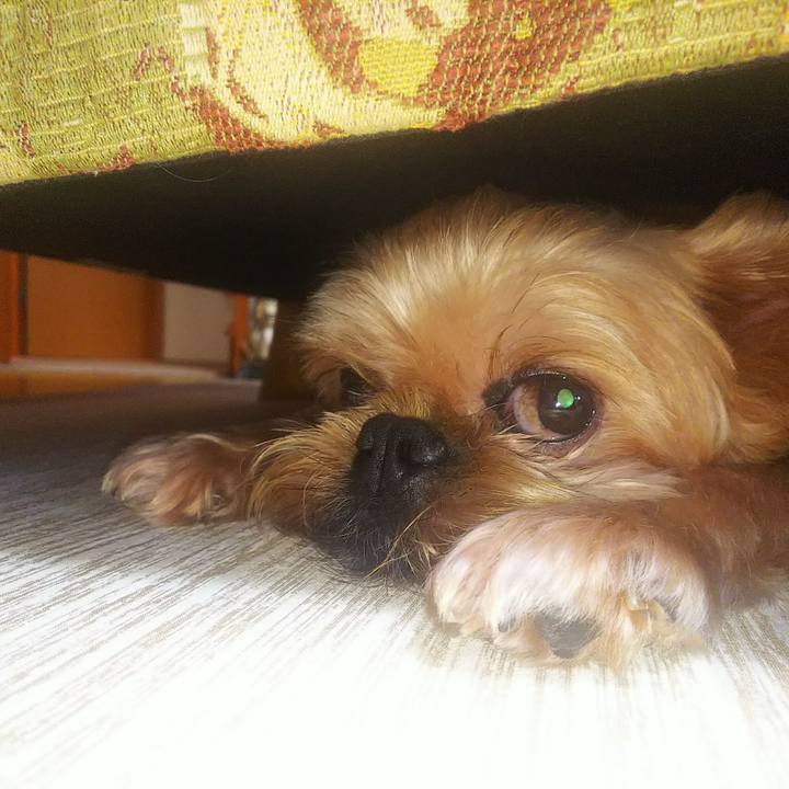 5ae4680e b85b 4aab a9e1 36e8be5b95ab 1596180628386