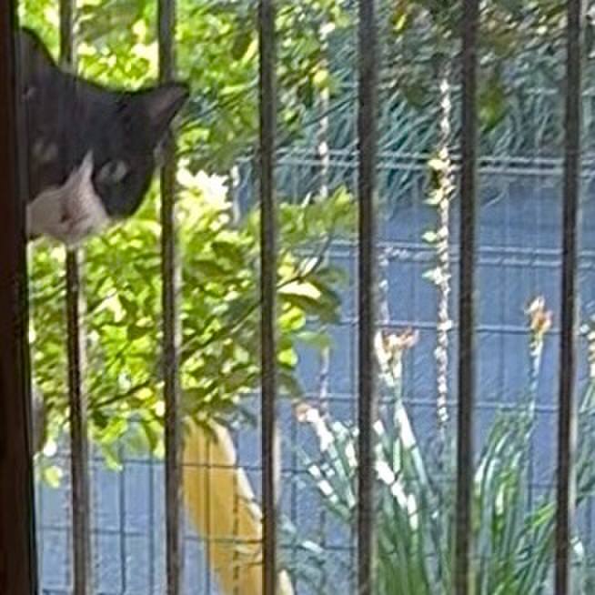 5ae46adc cd83 499a be6c c51040603b10 1744364090170