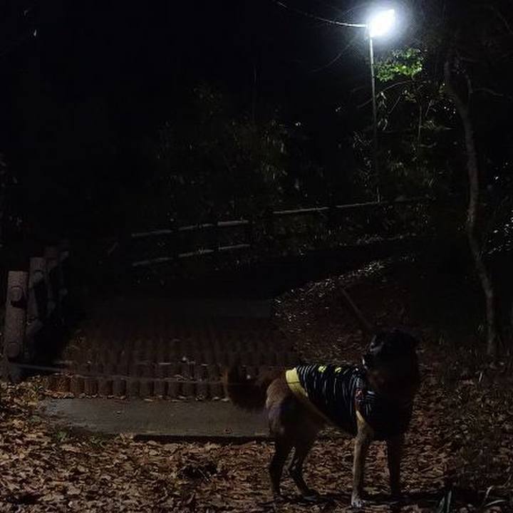 5ae47bd2 8672 40d3 b6f8 74fbb30fa466 1516455840616