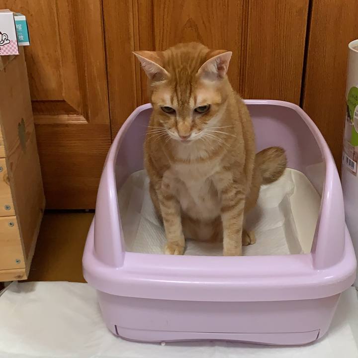 5ae49a8b 4366 4945 9322 91ec68049d1e 1566560987516