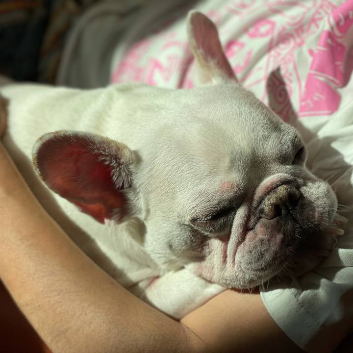 5ae4bdb9 439f 4017 a821 123cfa456cc8 1630887430841