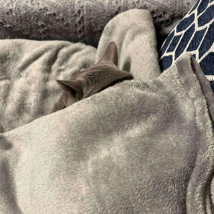 5ae4c220 555d 4f02 bd4e 3b13c1e11045 1700778662353