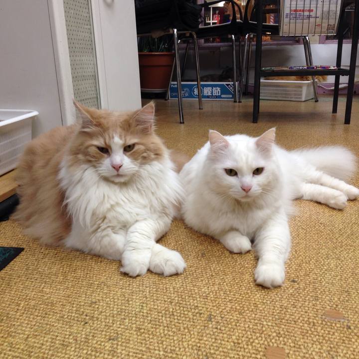 5ae4d97d d37d 449f b1d0 9c967edf4b67 1524610251926