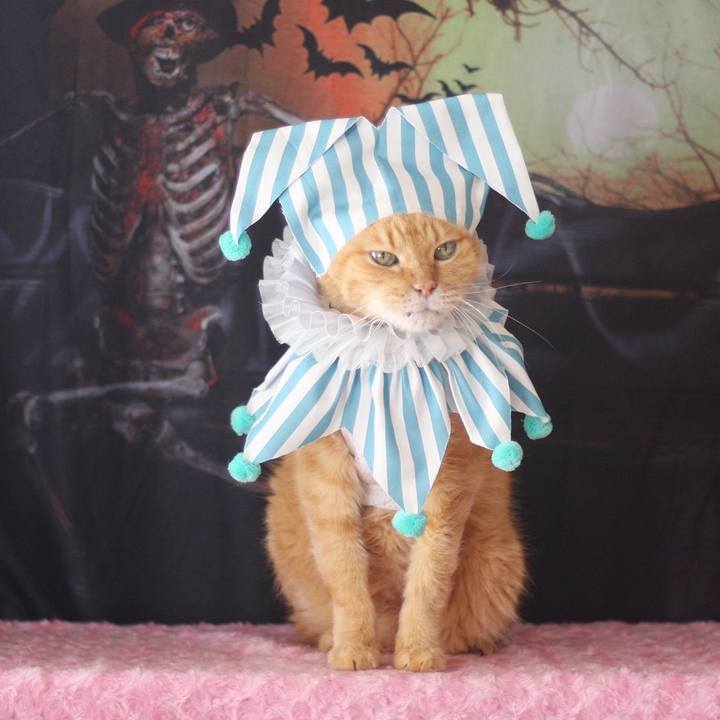 5ae4defd aebe 408d 89c1 5b666c918be6 1697426095019