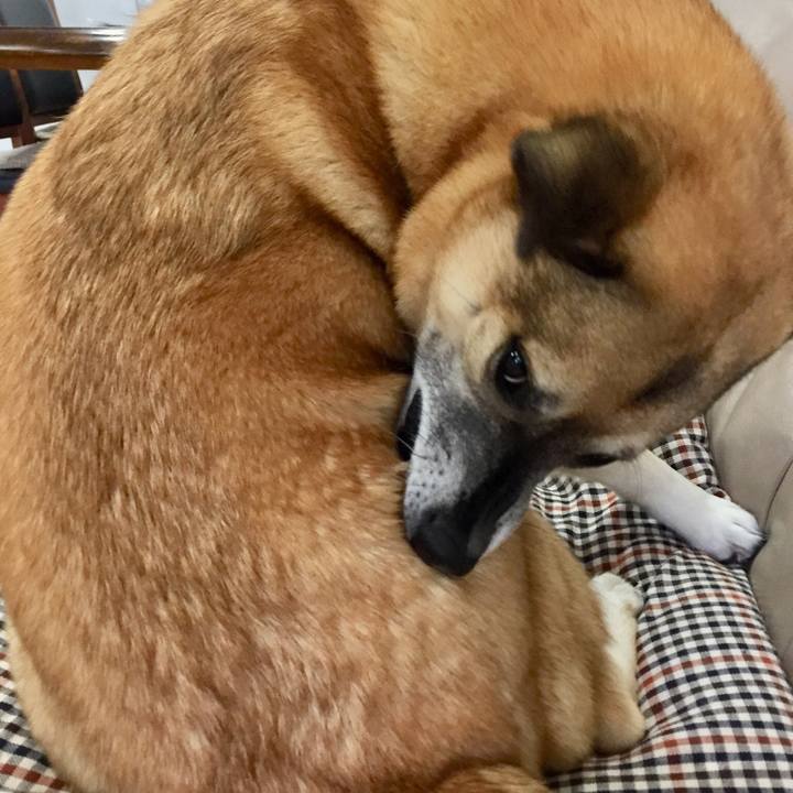 5ae4fa4c 01df 4a9a a79e f89766de121a 1512998627580