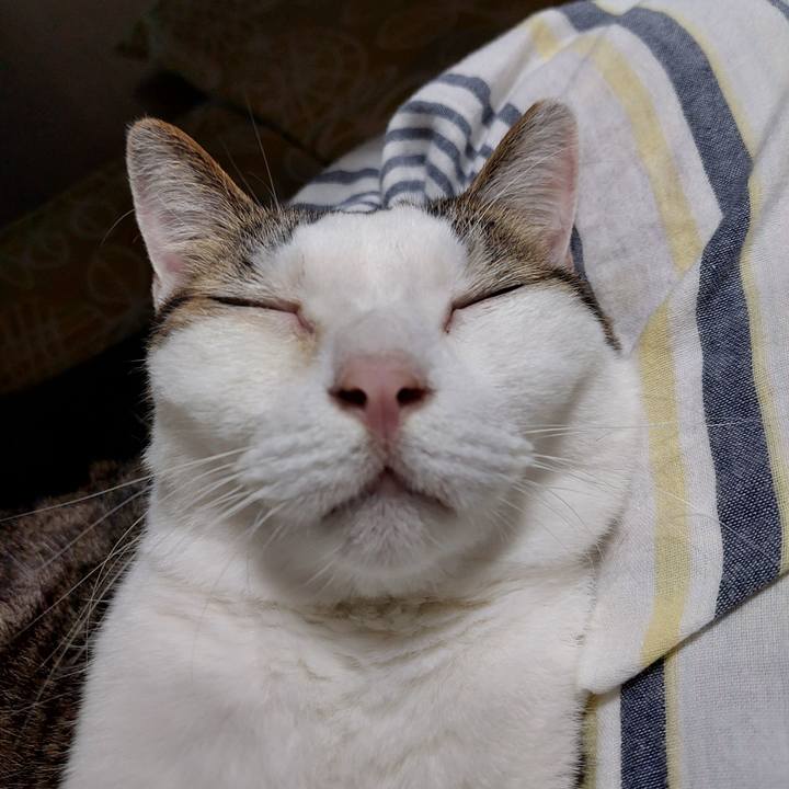 5ae5026a 1658 4c95 a5e5 e34fb19747eb 1696416527853