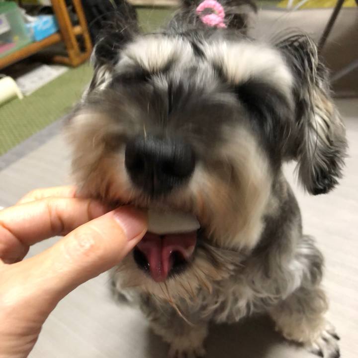 5ae54671 f31d 4d15 b224 f48828dc1a6e 1568467082316