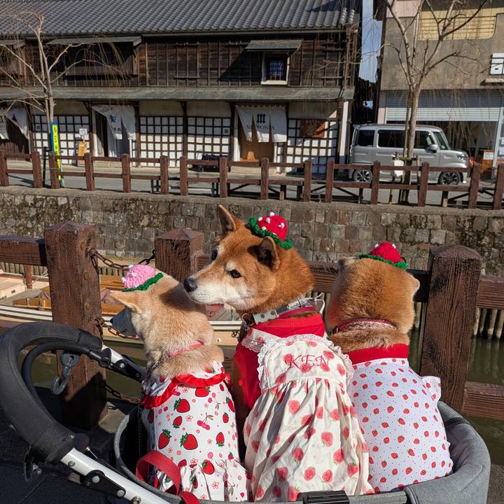 5ae552f9 aafc 4a52 b384 e6ce29fc723c 1740326151413