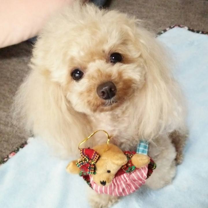 5ae577c3 c8e2 4a95 8cdb 27acca9b96e8 1526993953741