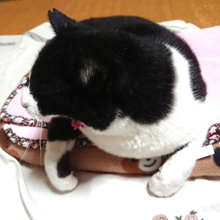 5ae5a60d 5122 4b02 992c e22a4039ef5b 1601080740303