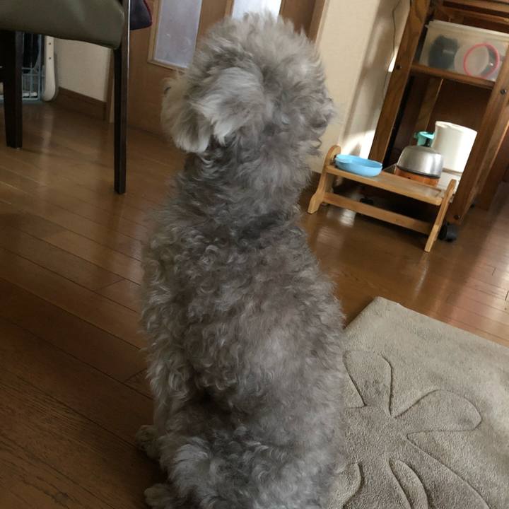 5ae61098 a6bb 45a3 866b 7fcb6b40966e 1612915068889