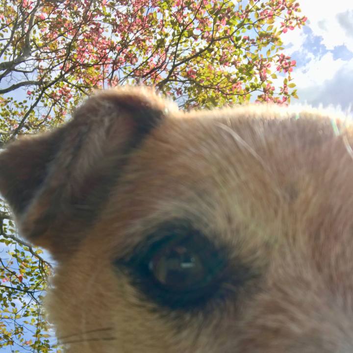 5ae62247 4123 40ae ab0e d45ec83c3bf7 1650340248006