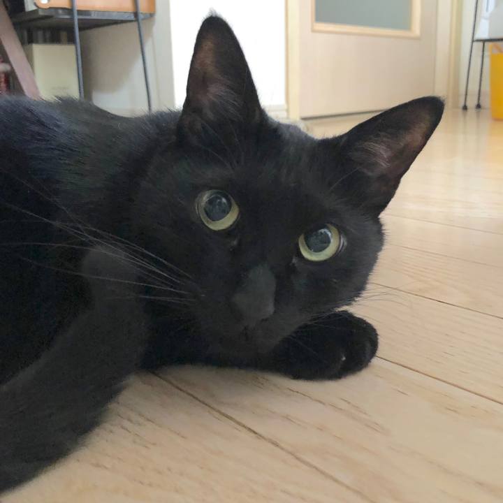 5ae68f80 c4d0 4058 9c7c c543a174c7a1 1551582720018