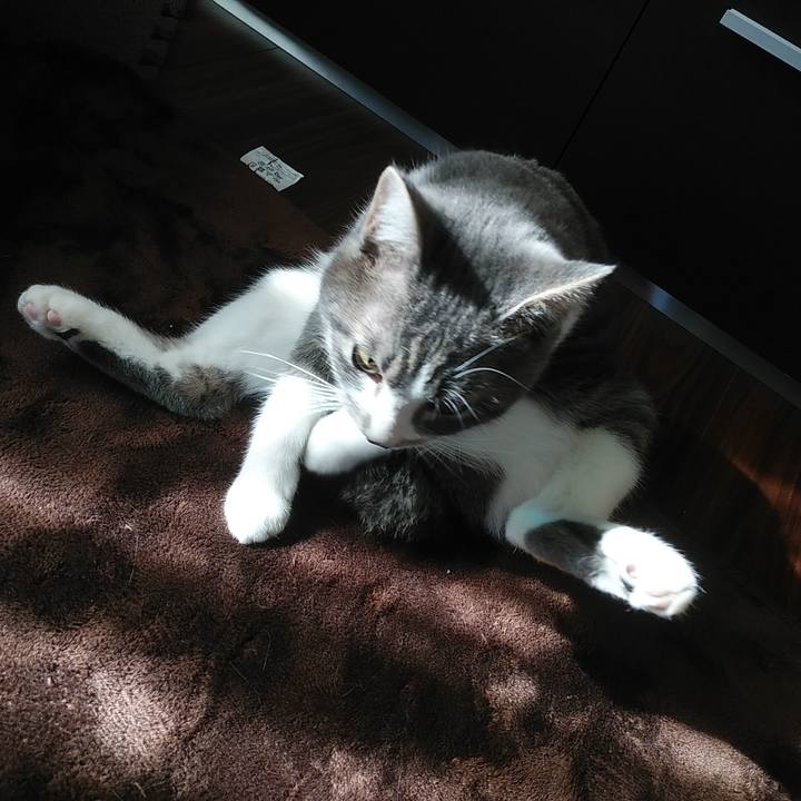 5ae6c926 2525 4c02 bd24 e5b318a311a2 1578967851348