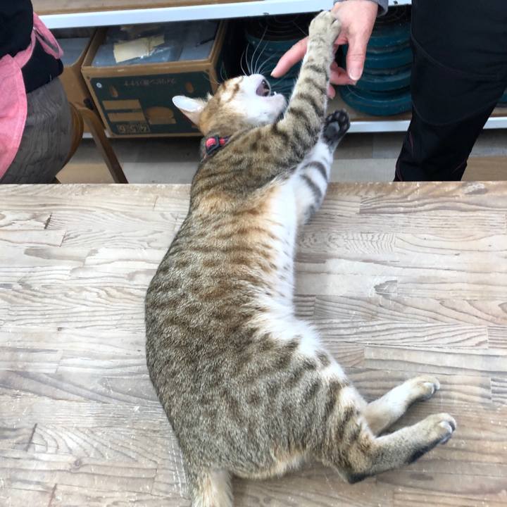 5ae6c9ac fc66 424b b50e 79c37a71cbf9 1644647194358