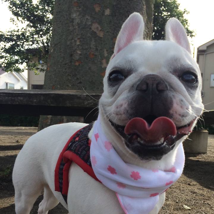 5ae6e811 fb84 48dd 9450 38e1448c2f94 1531011962379