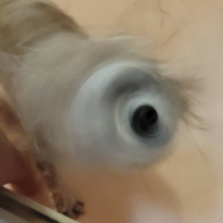 5ae6f9e8 21dc 4b8e 8315 e676d1439b56 1746184710175