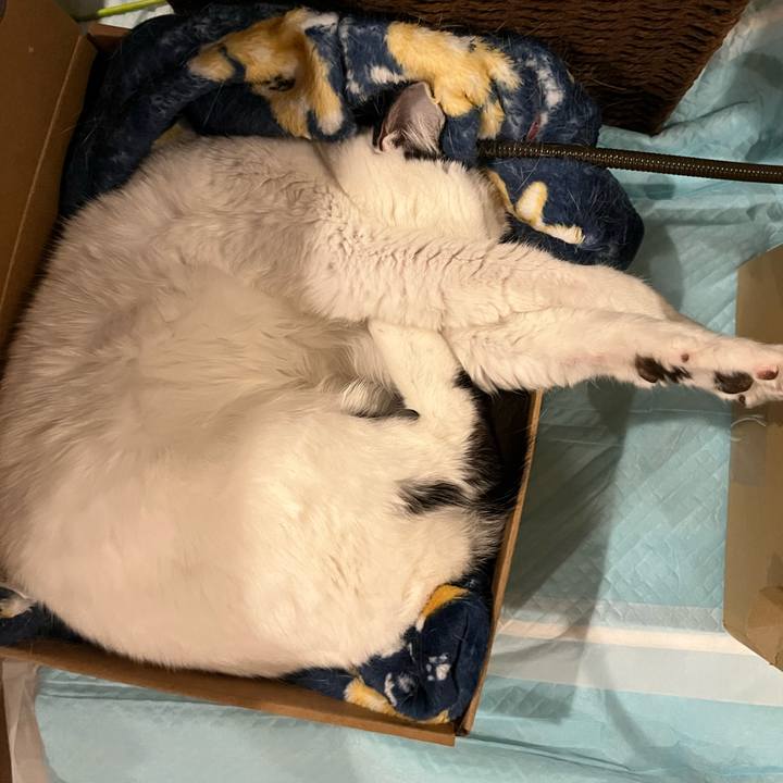 5ae71846 c0c0 4181 8c0a 0efb3105d1b7 1768859991130