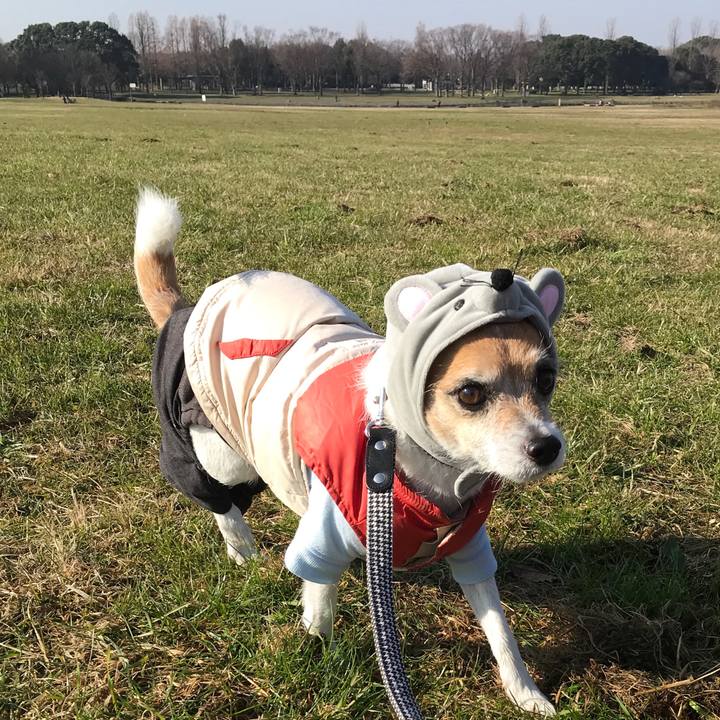 5ae7346e fafb 4d98 beae 3a28b1810287 1577804427496