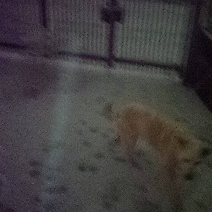 5ae7404d 6a53 4de1 ab3f a513f3f59e02 1521630881312