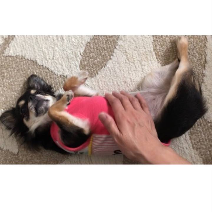 5ae74558 d87b 43df abd4 55fe0f14c235 1555984131241