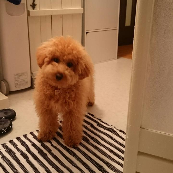 5ae75457 0fa4 4b1e abc1 96baad813834 1511273744510