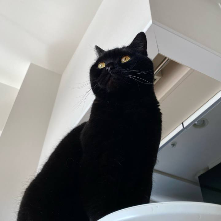 5ae757fd 2371 4ecd ad8c 51d837450f36 1743829082788