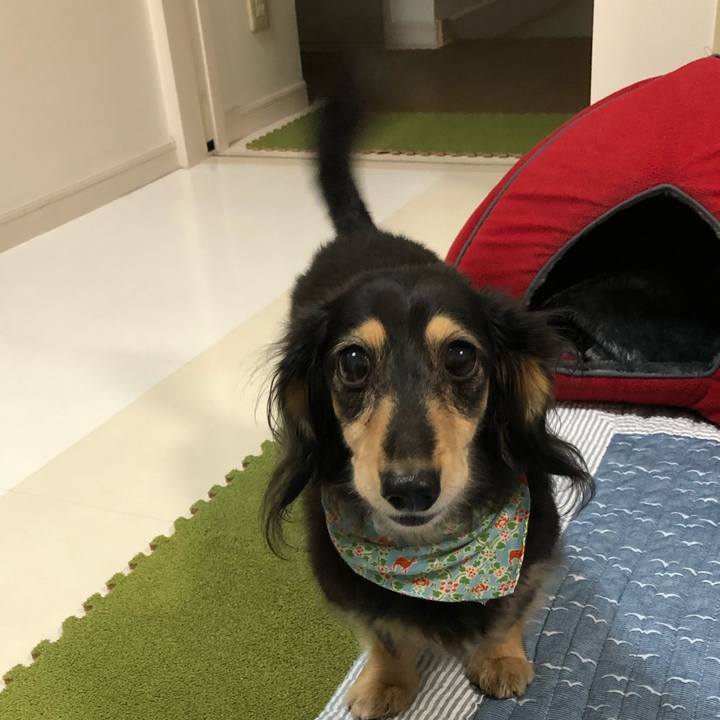 5ae76d48 1e25 48c7 9564 5dea18821189 1572172711415