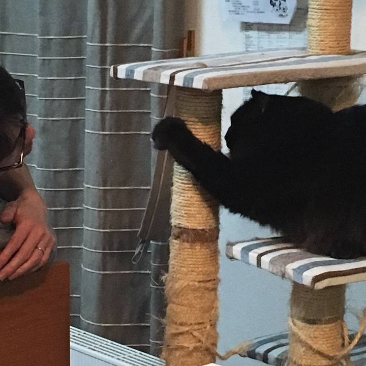 5ae7774d b904 4ccc 9658 4e4154b6e373 1543942317348