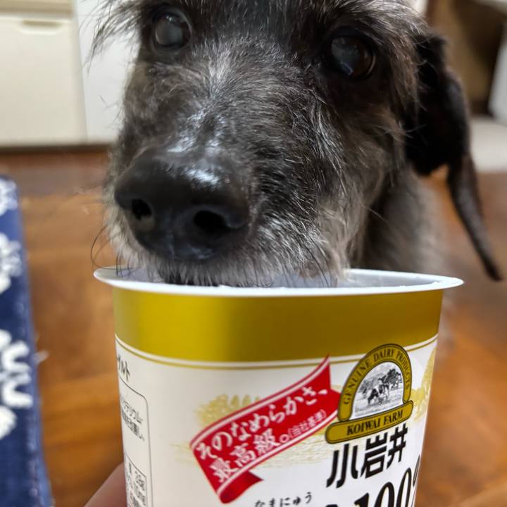 5ae77b01 542f 41b1 bd93 6074eeaaf911 1748131887640