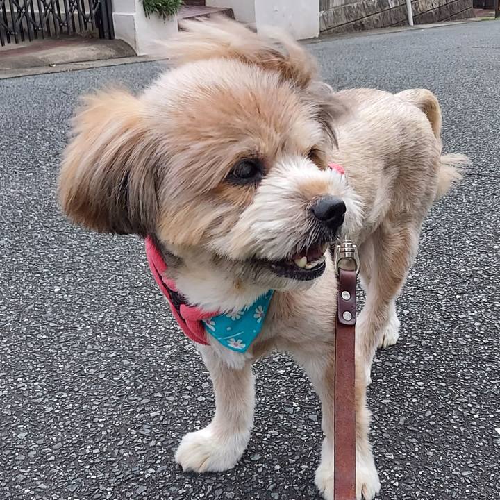 5ae7b8c7 706b 48aa a702 9ba822b434d3 1662370716184