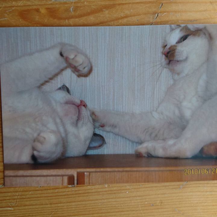 5ae7db2a 6bc9 4fa9 9a81 a407b1ade9bb 1514696129110