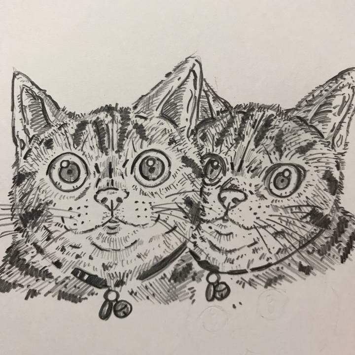 5ae80539 fb29 40a4 8228 d3a73db872e0 1539433452565