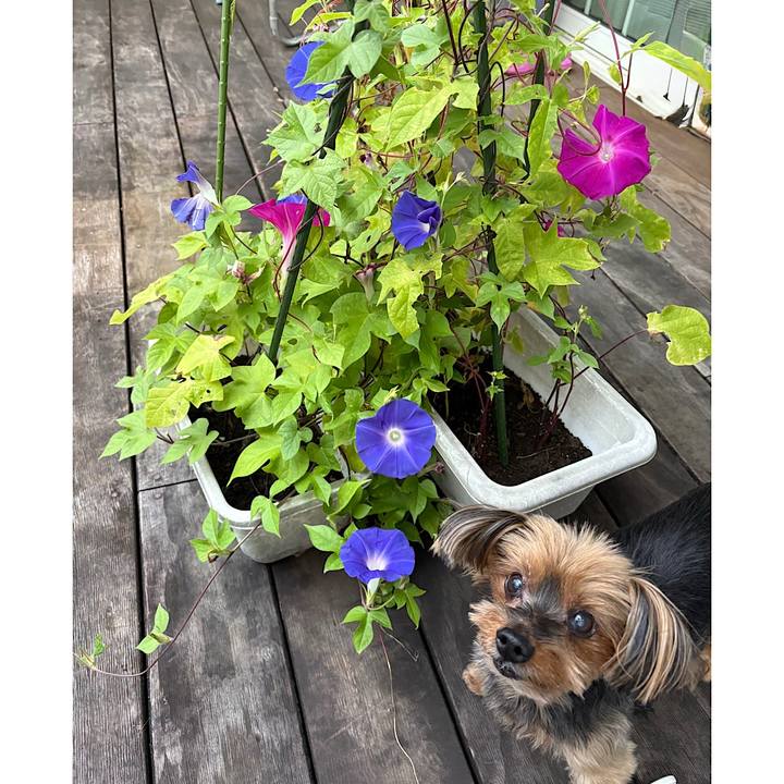 5ae827a9 eb65 43a8 bf2e fbfda8292cd8 1757802776276