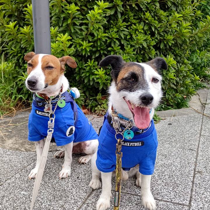 5ae835c9 3054 41d8 a9ca d0edd95f1321 1630189490222