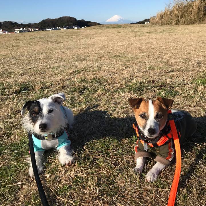 5ae84563 92cc 4406 b595 74d603aab5e6 1545178488214